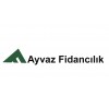 Ayvaz fidancılık