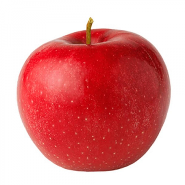 Amasya Elma Fidanı 2-3 Yaşında Aşılı 200-250 cm Açık Kök