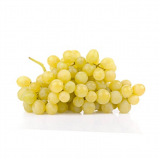 İtalya Üzüm Fidanı 2 Yaşında 60-80cm İtalya Üzüm Fidanı 2 Yaşında 60-80cm