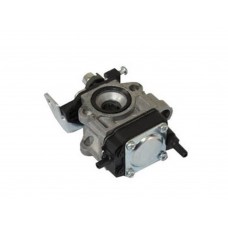 KARBURATÖR GZJ260AE