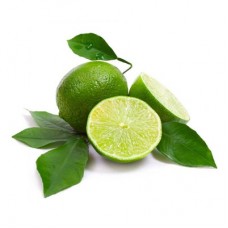 Mexican Lime (Misket Limonu) Fidanı 3 Yaşında Aşılı 100-120cm