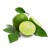 Mexican Lime (Misket Limonu) Fidanı 3 Yaşında Aşılı 100-120cm Mexican Lime (Misket Limonu) Fidanı 3 Yaşında Aşılı 100-120cm