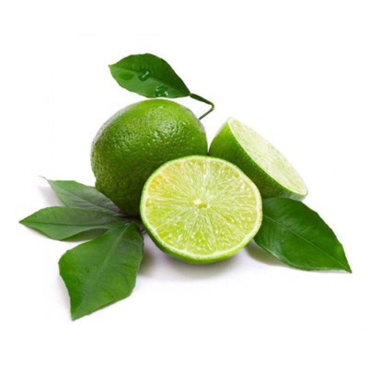 Mexican Lime (Misket Limonu) Fidanı 3 Yaşında Aşılı 100-120cm