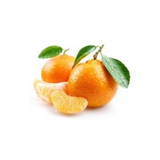 Nova Mandalina Fidanı 3 Yaşında Aşılı 120-150cm Tüplü Nova Mandalina Fidanı 3 Yaşında Aşılı 120-150cm Tüplü