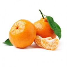 Satsuma Mandalina Fidanı 3 Yaşında Aşılı 120-150cm  Satsuma Mandalina Fidanı 3 Yaşında Aşılı 120-150cm