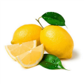 Limon Fidanları