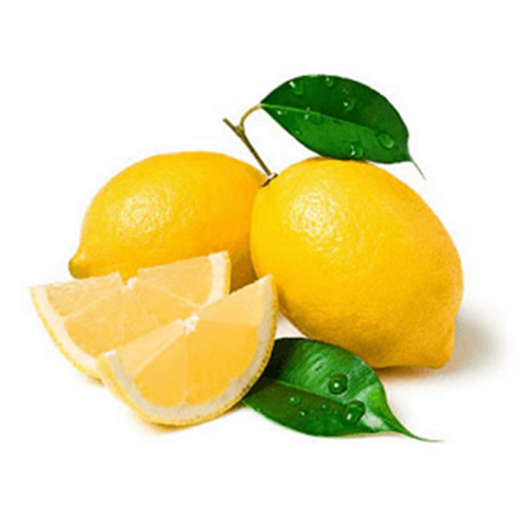 Yediveren Kütdiken Limon Fidanı 5 Yaşında Aşılı 150-190cm Saksida