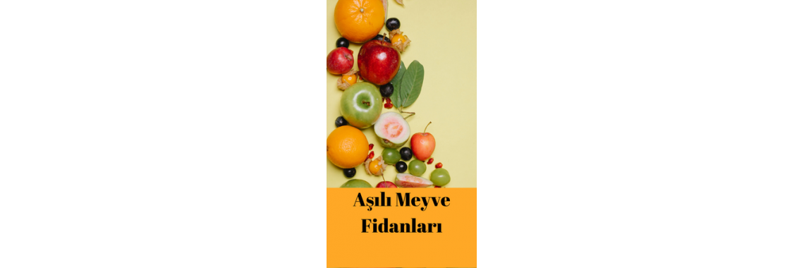 Aşılı Meyve Fidanları
