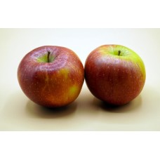 3 Yaş Aşılı Arap kızı Elma Fidanı 3 Yaş Aşılı Arap kızı Elma Fidanı