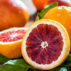 3 Yaş Aşılı Kan Portakalı Fidanı 3 Yaş Aşılı Kan Portakalı Fidanı