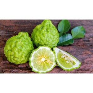 3 Yaş Bergamot Fidanı 3 Yaş Bergamot Fidanı