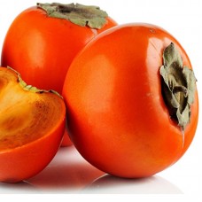 Trabzon Hurma fidanı 4 Yaş Aşılı Hachıya