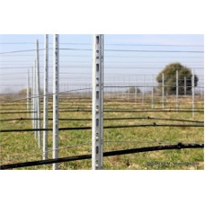 Ara Direk ( P5M Profil Alsace) 200cm