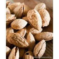 Nonparıel Badem Fidanı