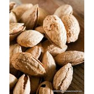 Nonparıel Badem Fidanı Nonparıel Badem Fidanı