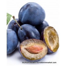 Bardak Erik Fidanı ( Bardacık eriği ) Bardak Erik Fidanı ( Bardacık eriği )