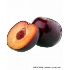 Black Beauty Erik Fidanı Black Beauty Erik Fidanı