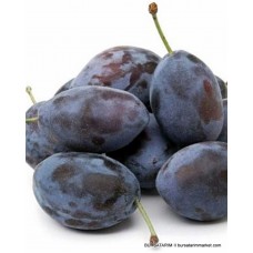 Mürdüm Eriği Erik Fidanı Mürdüm Eriği Erik Fidanı