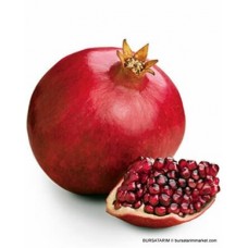 Wonderful Nar Fidanı