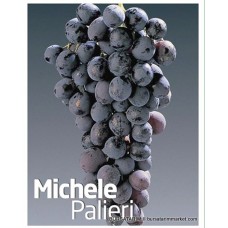 Michele Palieri Üzüm Fidanı Michele Palieri Üzüm Fidanı