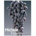 Michele Palieri Üzüm Fidanı Michele Palieri Üzüm Fidanı