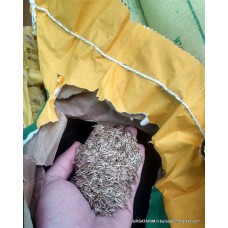 İthal Çim Tohumu 10KG İthal Çim Tohumu 10KG