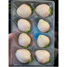 Beyaz Çilek Fidesi Saksılı