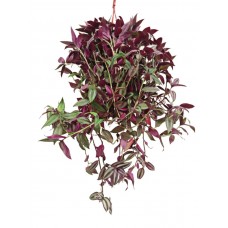 telgraf çiçeği, bordo makrome askılı
 telgraf çiçeği, bordo makrome askılı