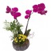 Orkide aranjman fuşya
