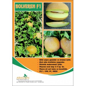 Kavun Tohumu BOLVEREN F1 “ANANAS”
 Kavun Tohumu BOLVEREN F1 “ANANAS”