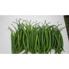 Biber Tohumu MIZRAK F1 “CİN BİBER”
Biber Tohumu MIZRAK F1 “CİN BİBER”