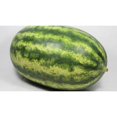 Karpuz Tohumu RAFEEL F1
 Karpuz Tohumu RAFEEL F1