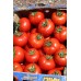 Sırık Domatesi REGOR F1
Sırık Domatesi REGOR F1