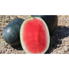 Karpuz Tohumu W-135 F1
Karpuz Tohumu W-135 F1