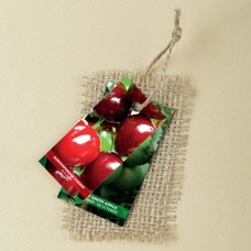 AYER MEYVE FİDAN BİLGİ KARTI PL-303
 AYER MEYVE FİDAN BİLGİ KARTI PL-303