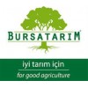 bursatarim