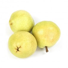 Açık Kök Deveci Armut Fidanı Açık Kök Deveci Armut Fidanı